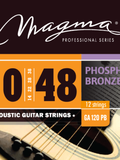 GA120PB12 ENCORDADO 010-048 PARA GUITARRA ACÚSTICA 12 CUERDAS
